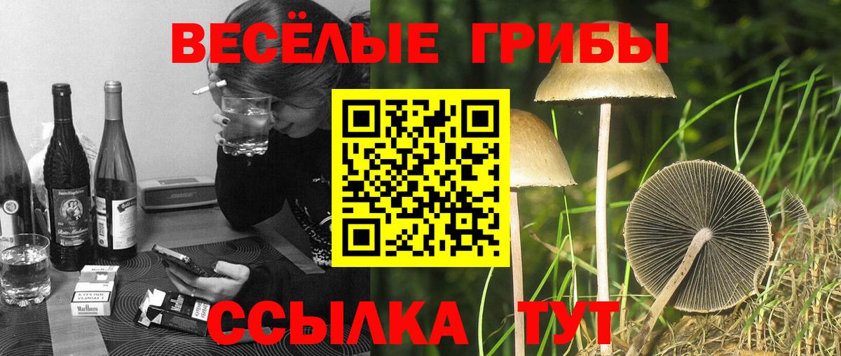 Псилоцибиновые грибы Cubensis Южно-Сахалинск