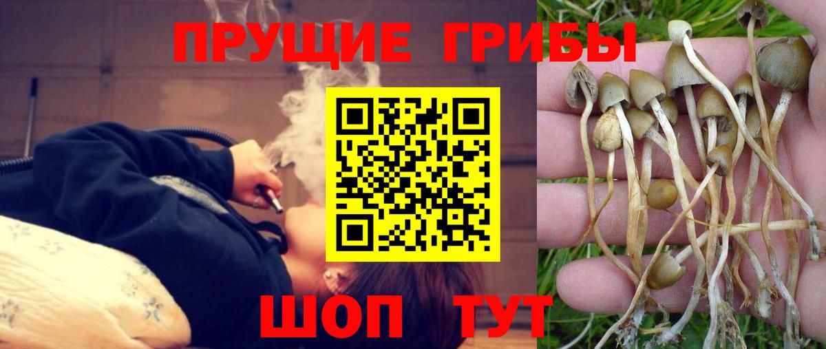 Южно-Сахалинск  Псилоцибиновые грибы мухоморы  Галлюциногенные грибы ЛСД  Вход с VPN 